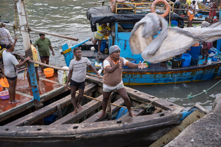 Photo by Sameer Shah