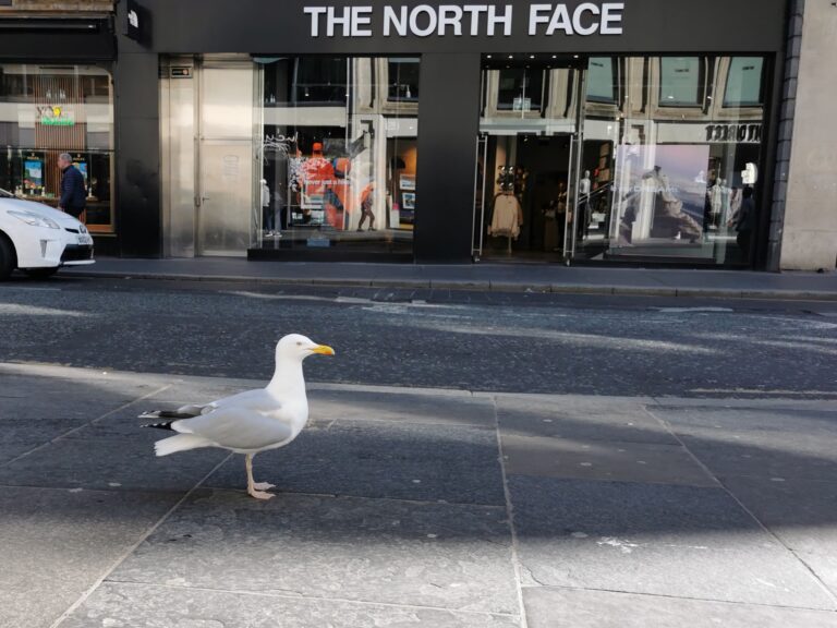 Photo by John Eelman