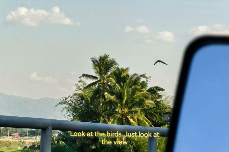 Photo by Julia Fleur Escarlos