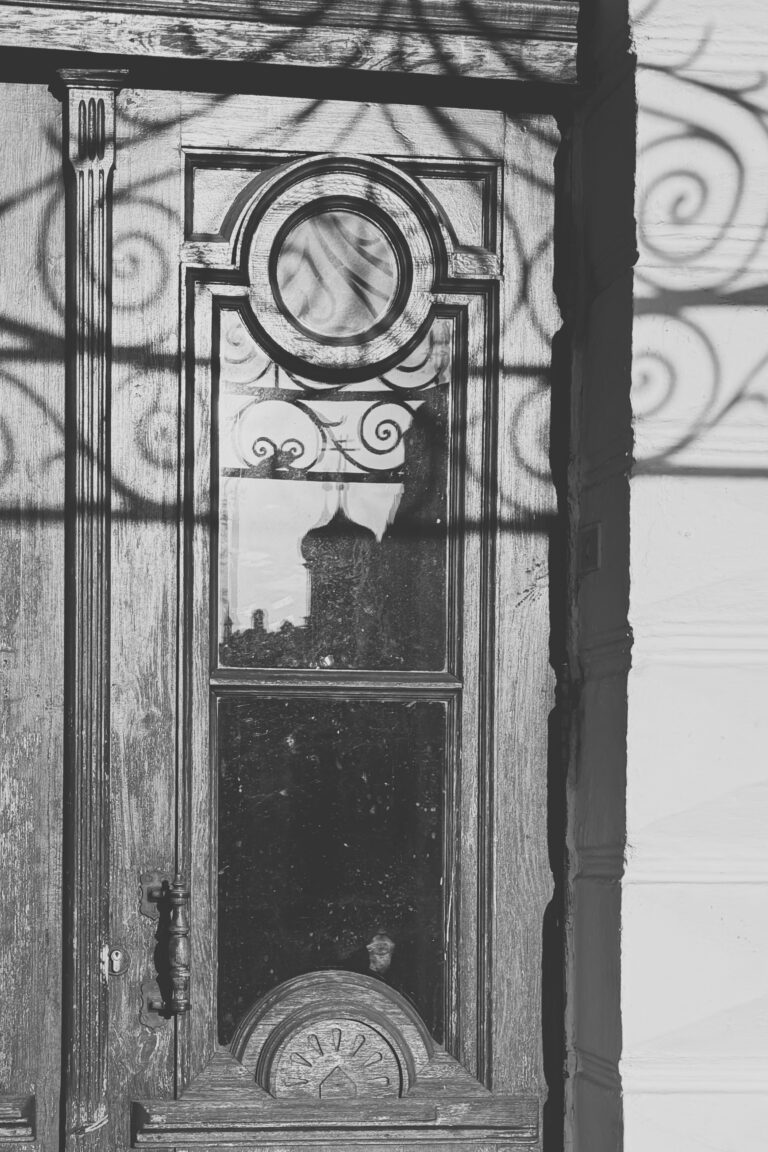 Photo by Dmitry Korol