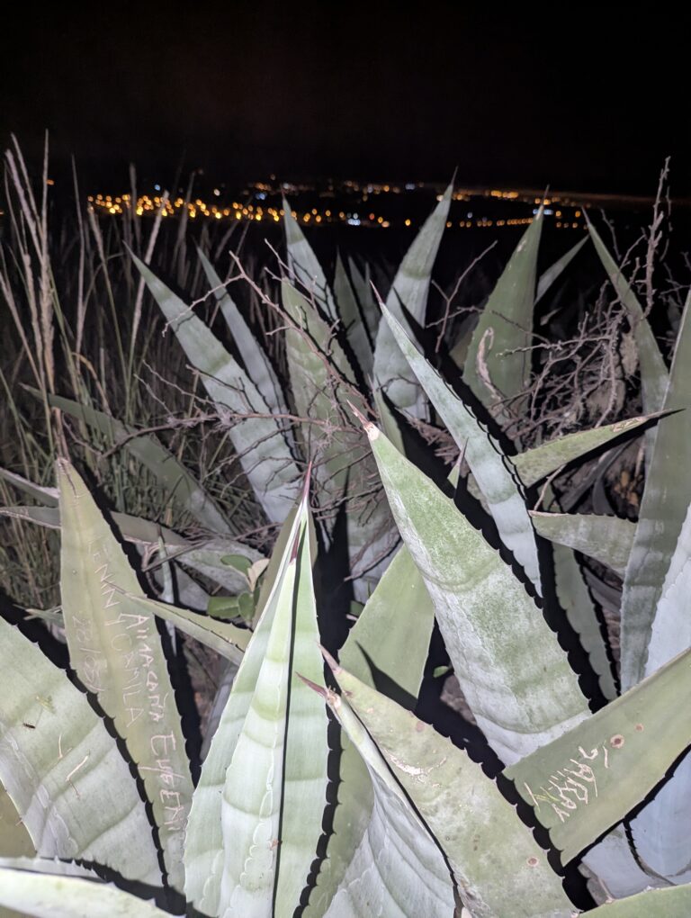 Photo by Adrian Romero