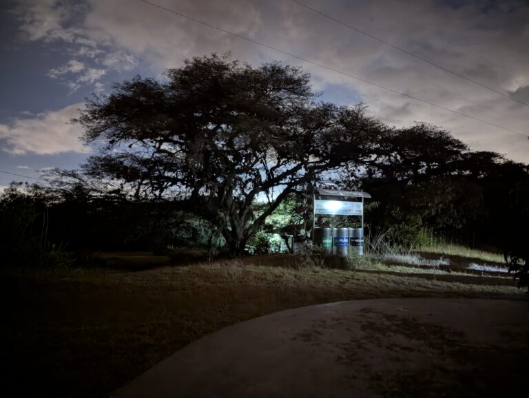 Photo by Adrian Romero