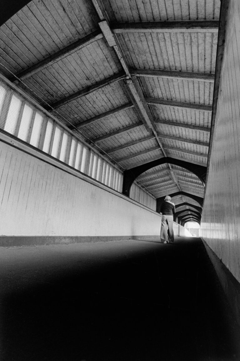 Photo by Jed Pearson