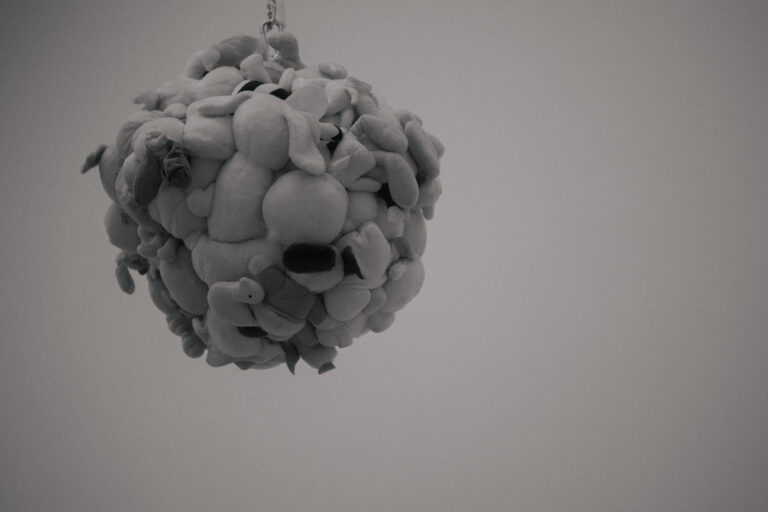 Photo by Devaunie Dacres