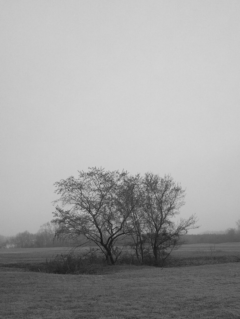 Photo by Will Hotton