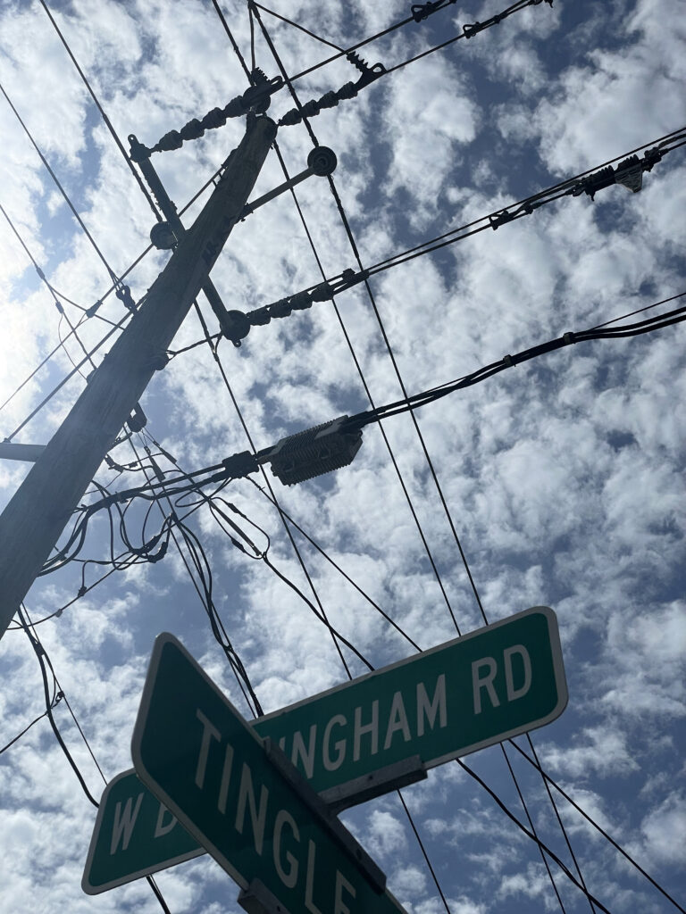 Photo by Will Hotton