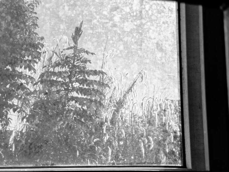 Photo by Julia Fleur Escarlos