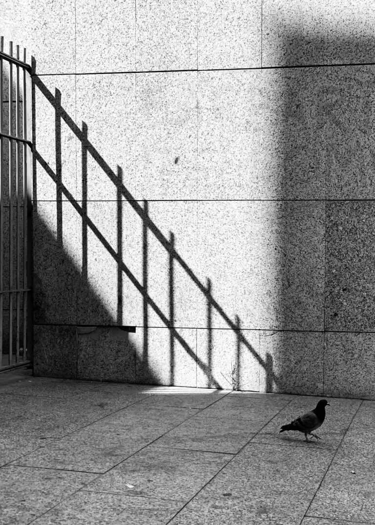 Photo by Pascal Hoerner