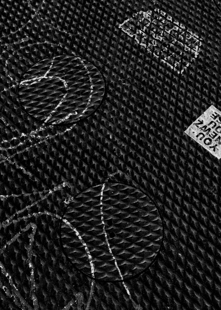 Photo by David Rockwood