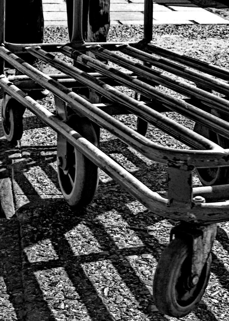 Photo by David Rockwood