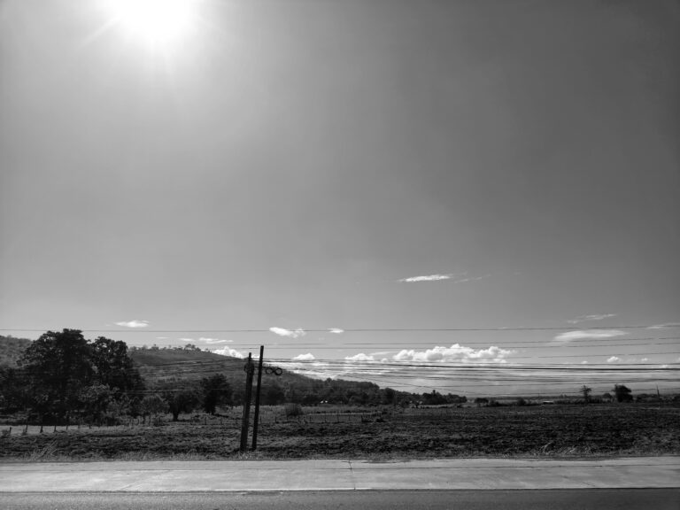 Photo by Julia Fleur Escarlos