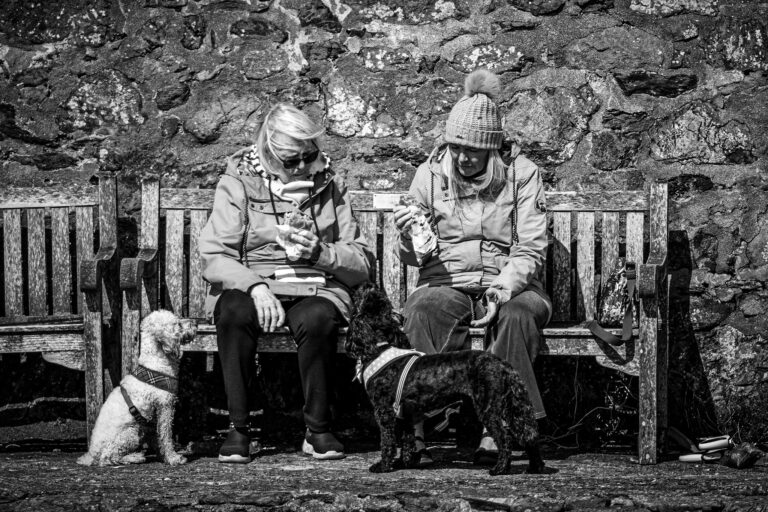 Photo by Leon Maillard