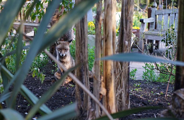 Photo by Franck Toto