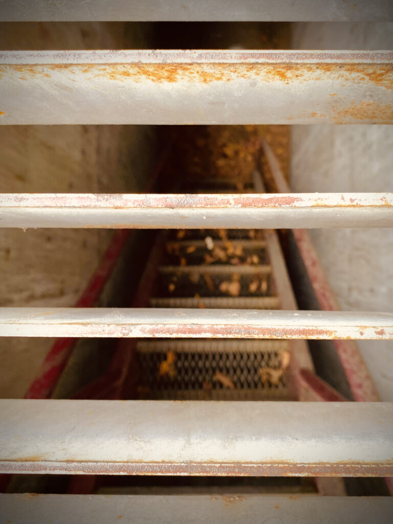 Photo by William Wright