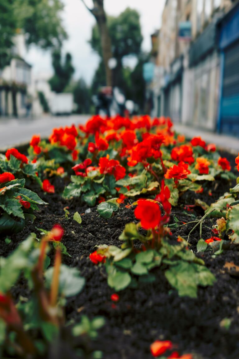 Photo by Mykool thus.