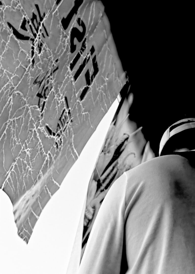 Photo by David Rockwood