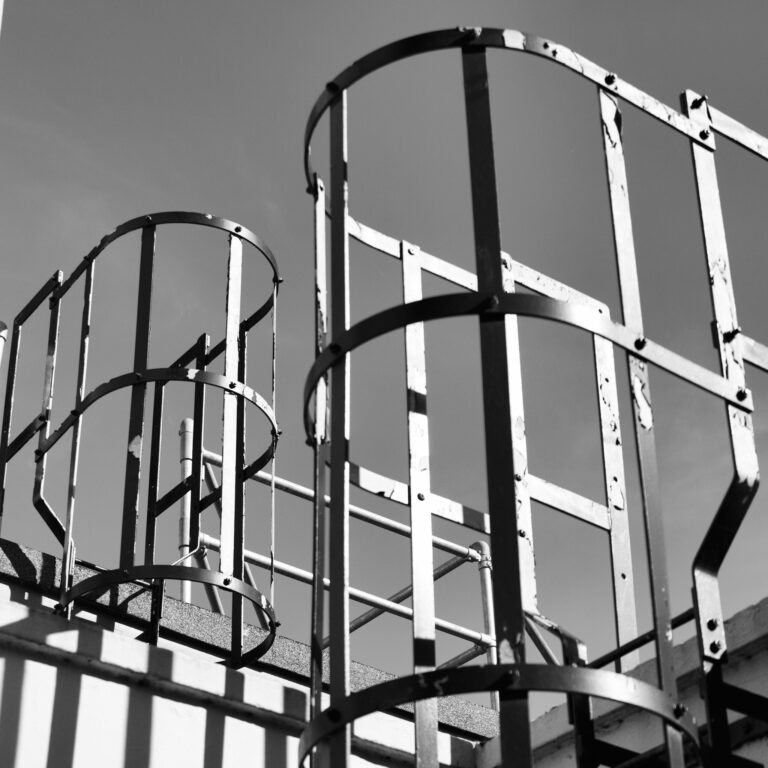 Photo by Simon Frost