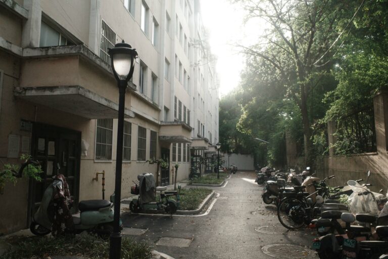 Photo by Wesley Wang