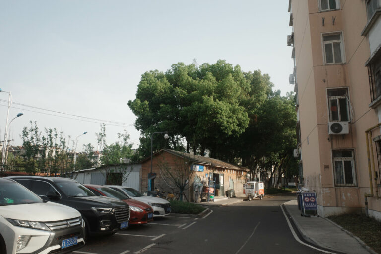 Photo by Wesley Wang