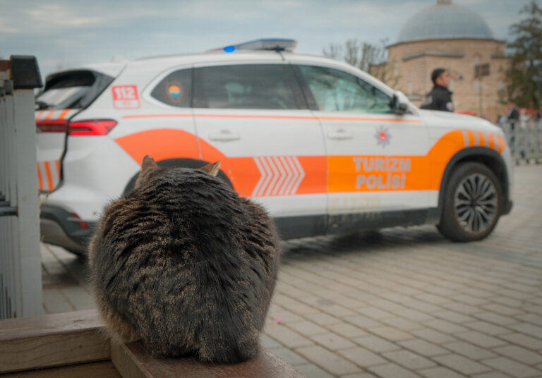 Photo by Yusuf Gungor