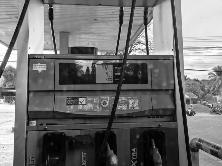 Photo by Julia Fleur Escarlos