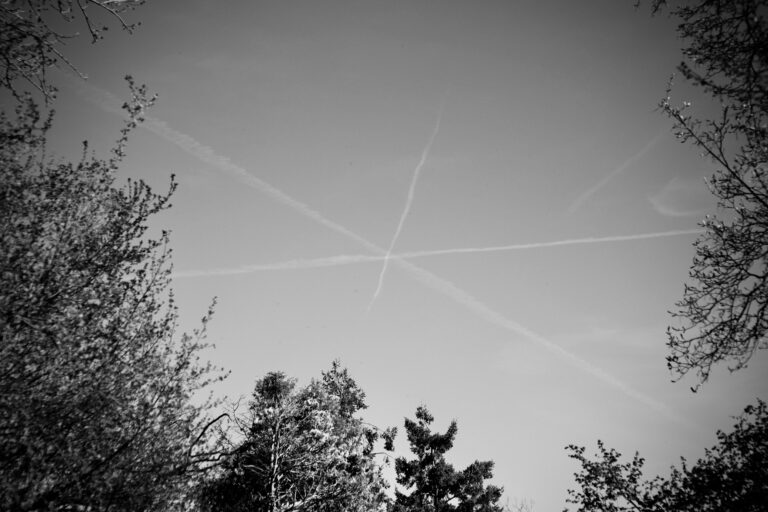 Photo by Jef 📷🍀