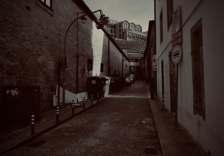 Photo by David Sheppard