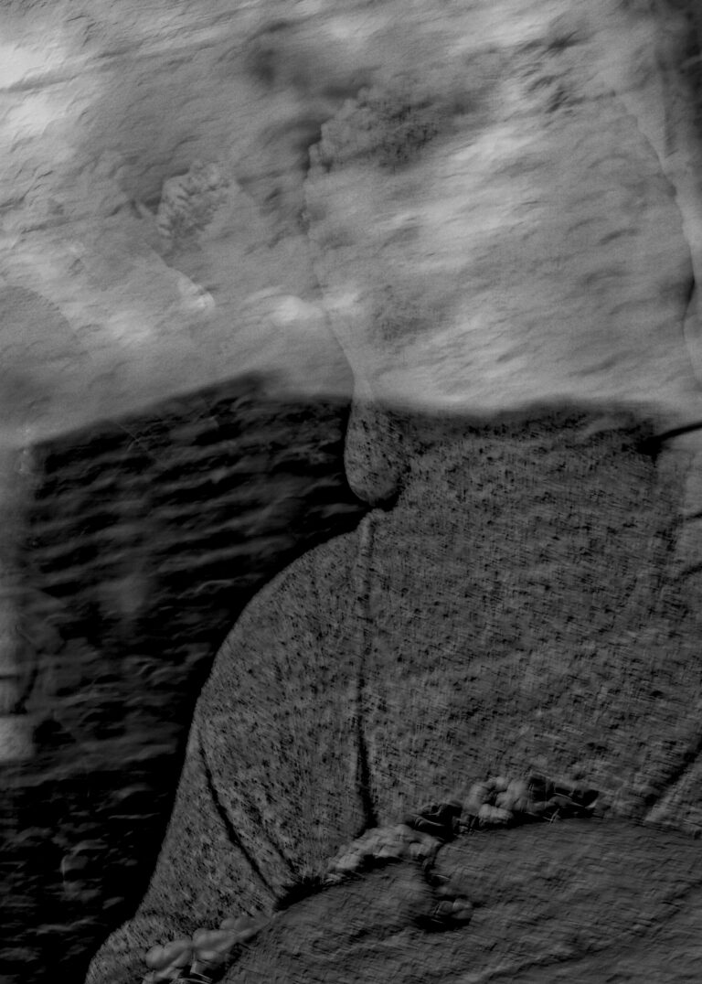 Photo by David Rockwood