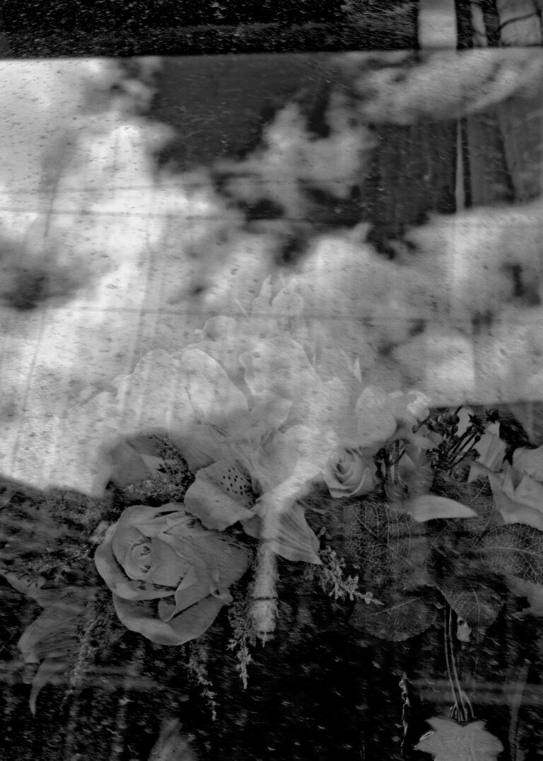 Photo by David Rockwood