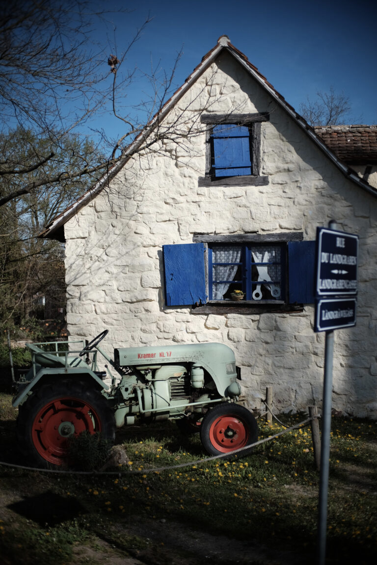 Photo by Jef 📷🍀