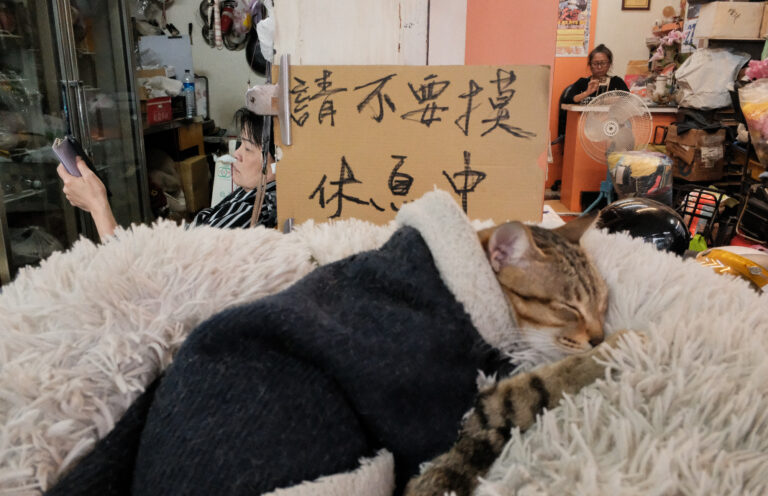 Photo by Niko Tolentino