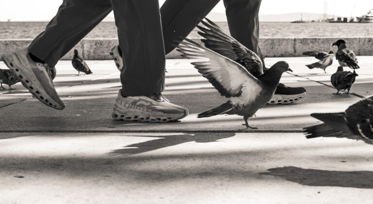 Photo by Steve Harrison