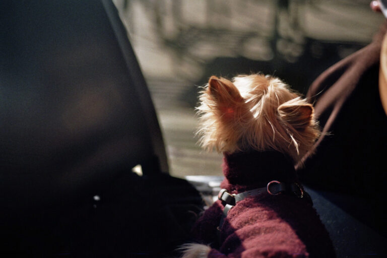 Photo by Eugen Kuschak