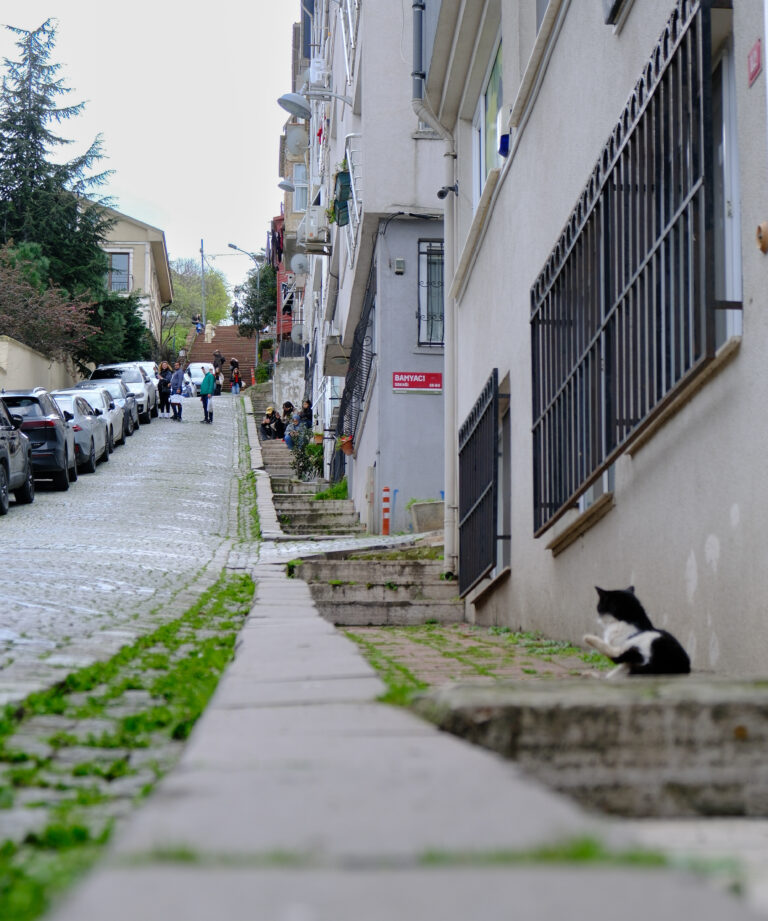 Photo by Yusuf Gungor