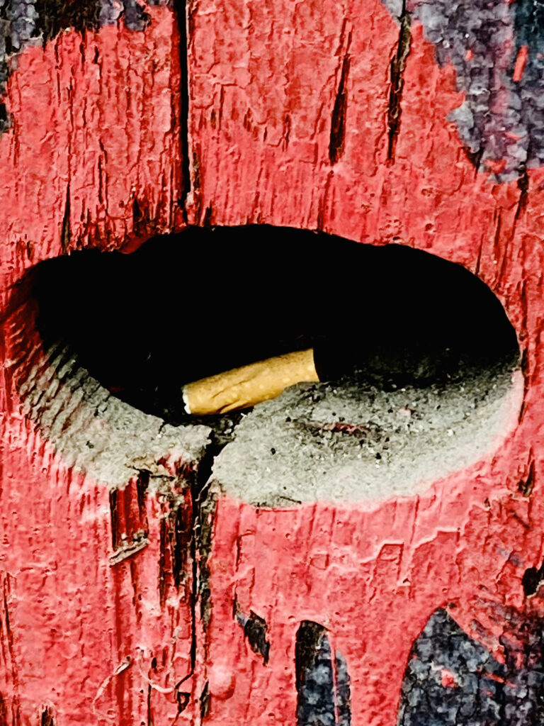 Photo by Elijah Wright