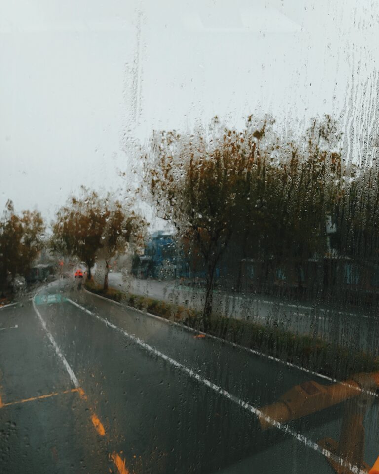 Photo by Ara In The Para