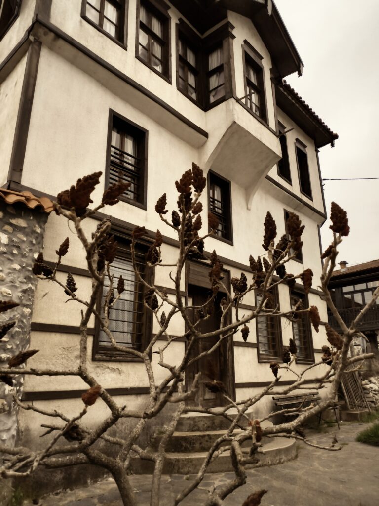 Photo by Aycha Feyzula