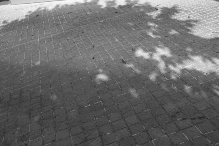 Photo by Toti Santiago