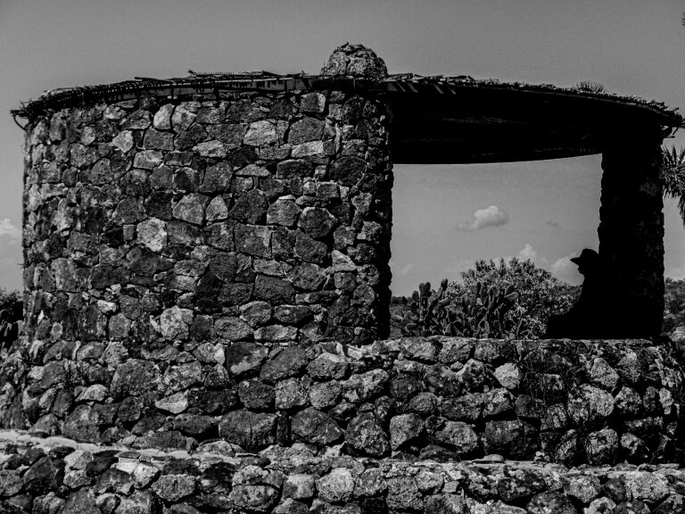 Photo by James Poyner