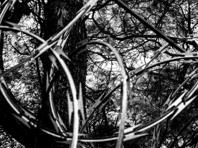 Photo by James Poyner