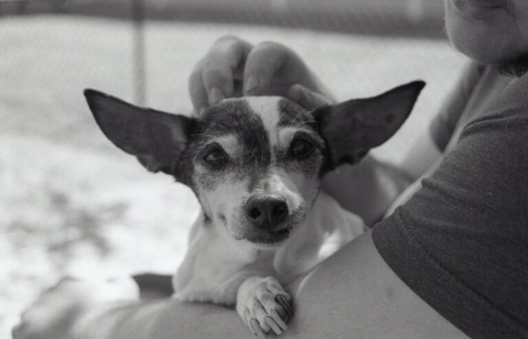 Photo by James Henningson