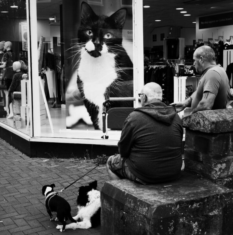 Photo by Chris Bennett