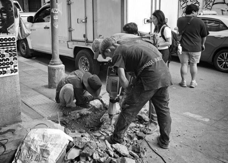 Photo by Stephen Lee