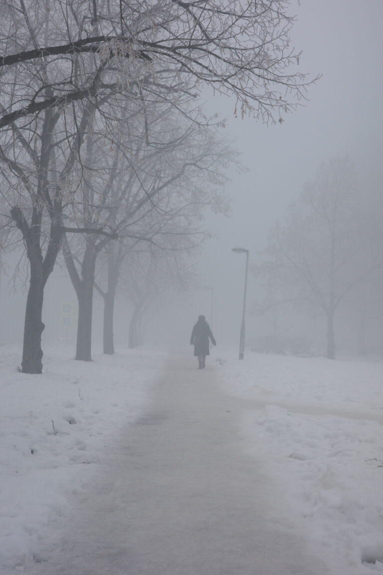 Photo by Amila Balic