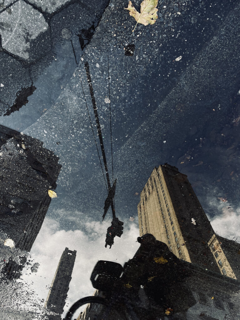 Photo by Amila Balic