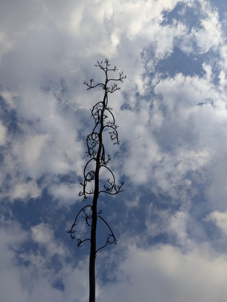 Photo by Adrian Romero