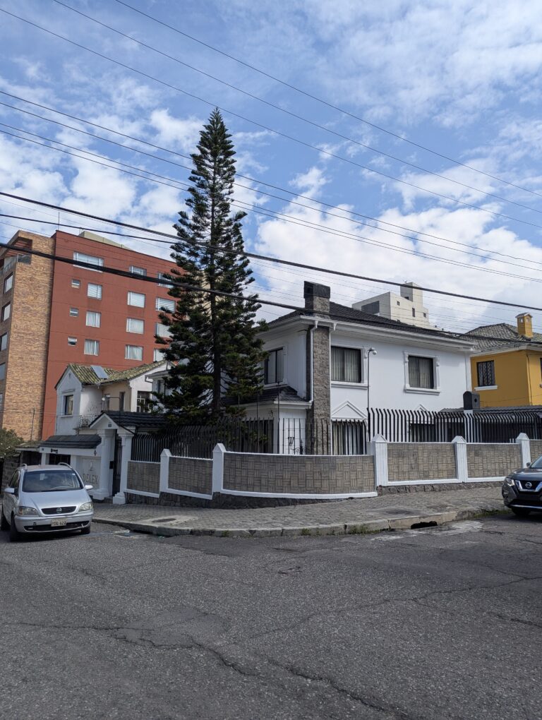 Photo by Adrian Romero