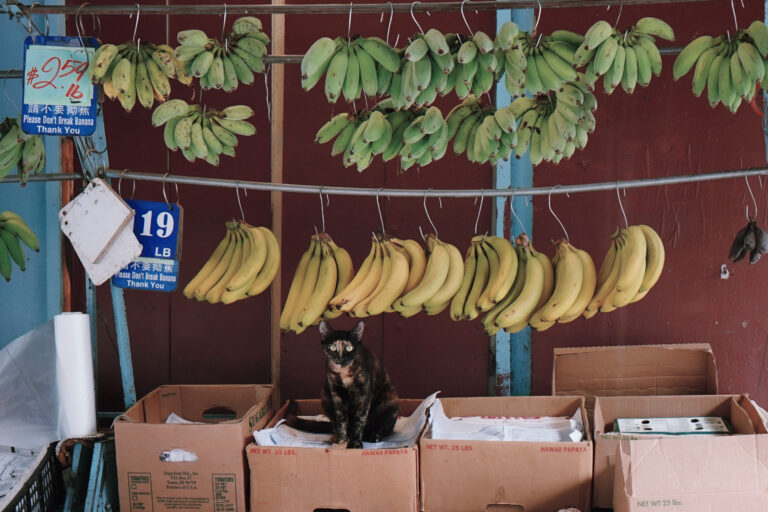 Photo by Jessica Doney