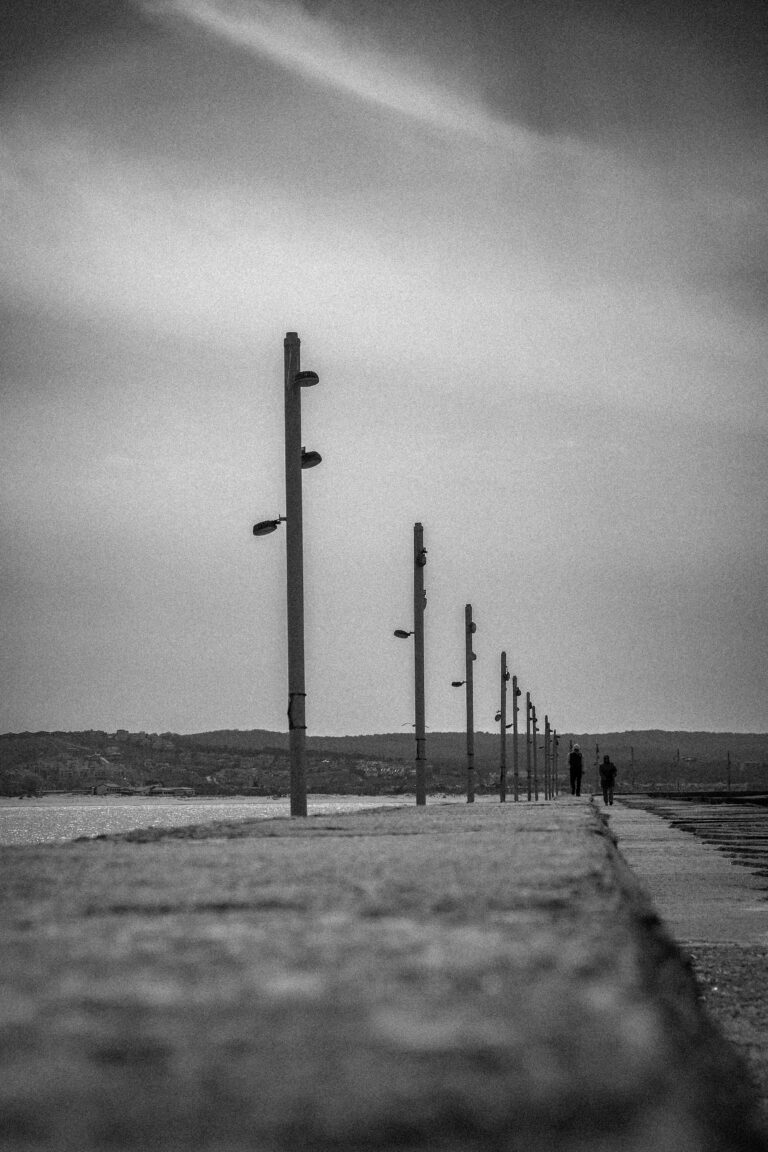 Photo by Yusuf Gungor