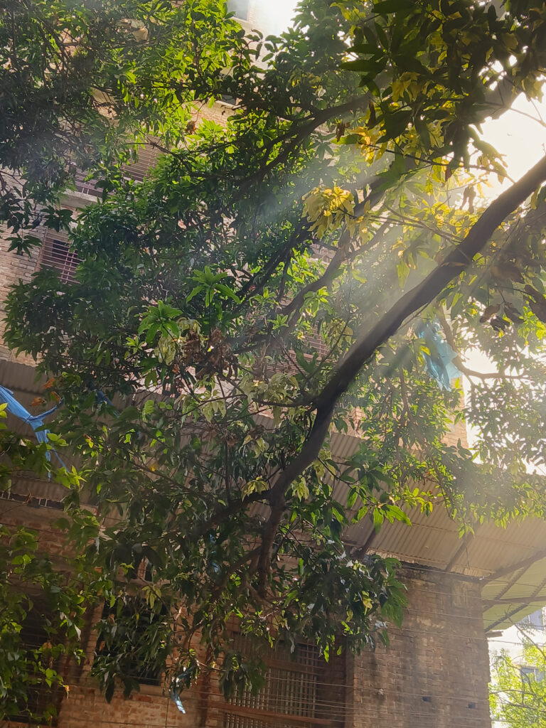 Photo by Ishrar E Mowla